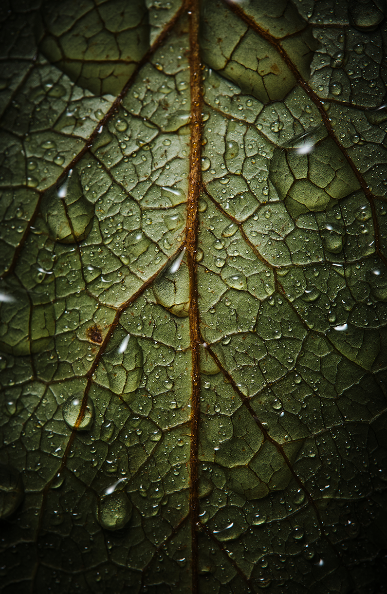 xf80mmf28-r-lm-ois-wr-macro_img03
