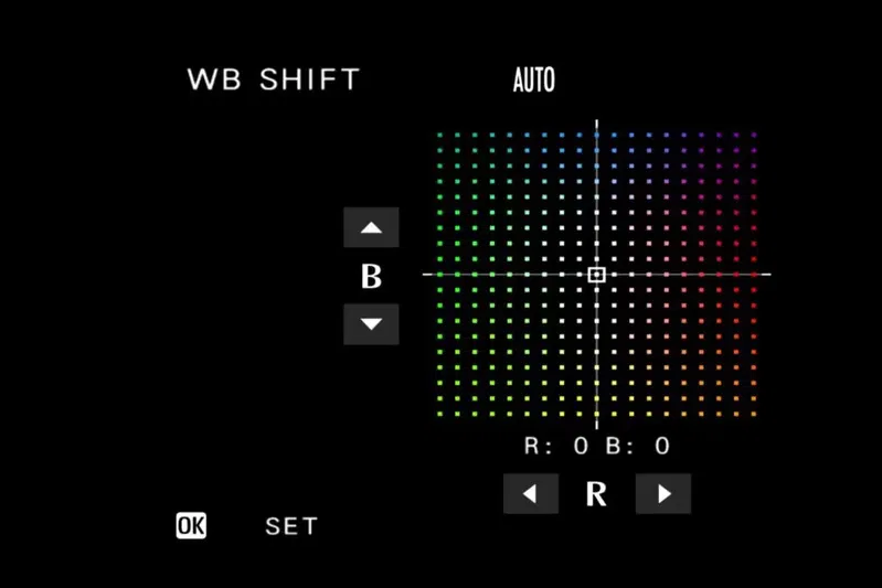 White Balance Shift - תמונה 3