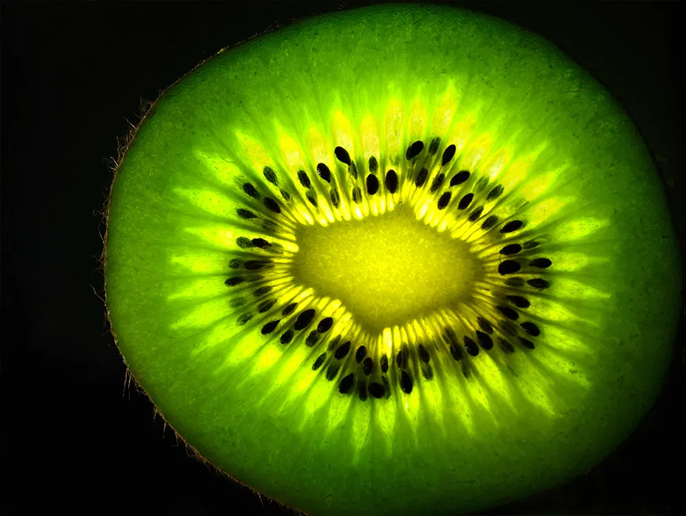 gf120mmf4-r-lm-ois-wr-macro_img03