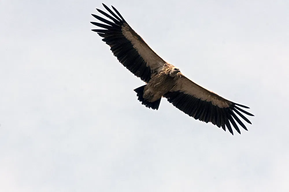 xf70-300mm_img11